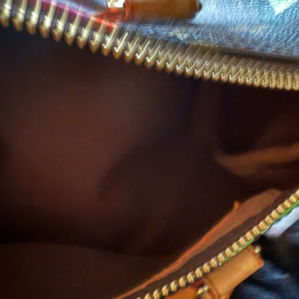 Louis Vuitton Brown Bag